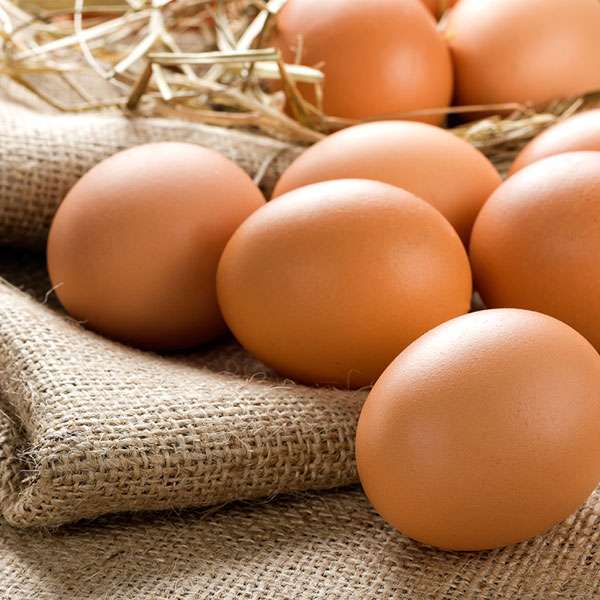 Tips Mengolah Telur